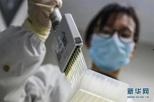 中东土豪打国产疫苗视频,跨国信任与本土创新的交汇