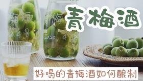 国产梅子酒测评视频下载,探寻地道风味与匠心独运