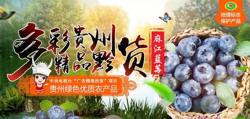 国产蓝莓宣传视频